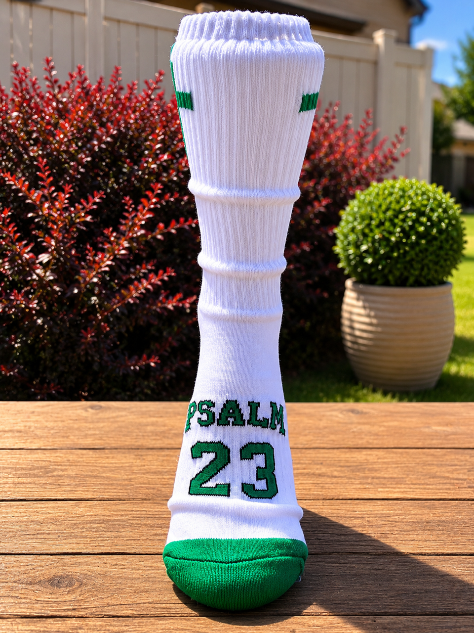 Psalm 23